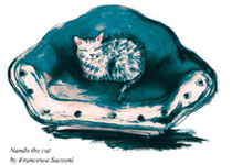 Nando_the_cat