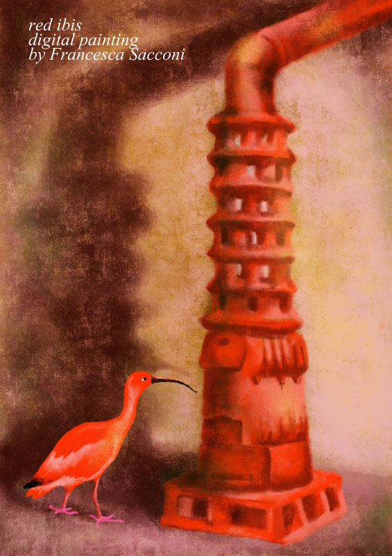 red ibis